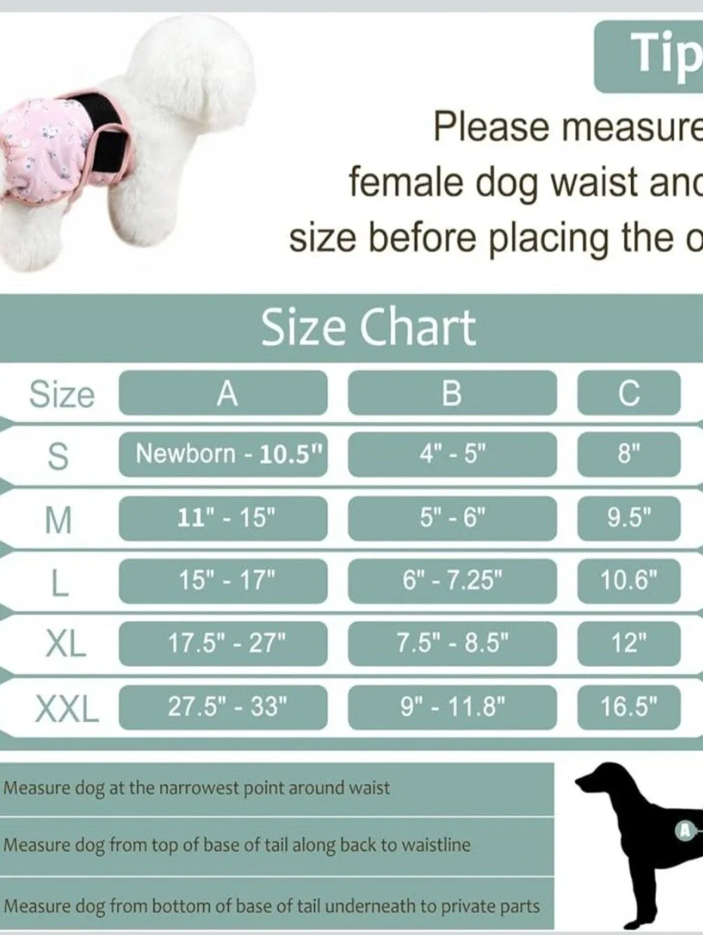 N/A female dog